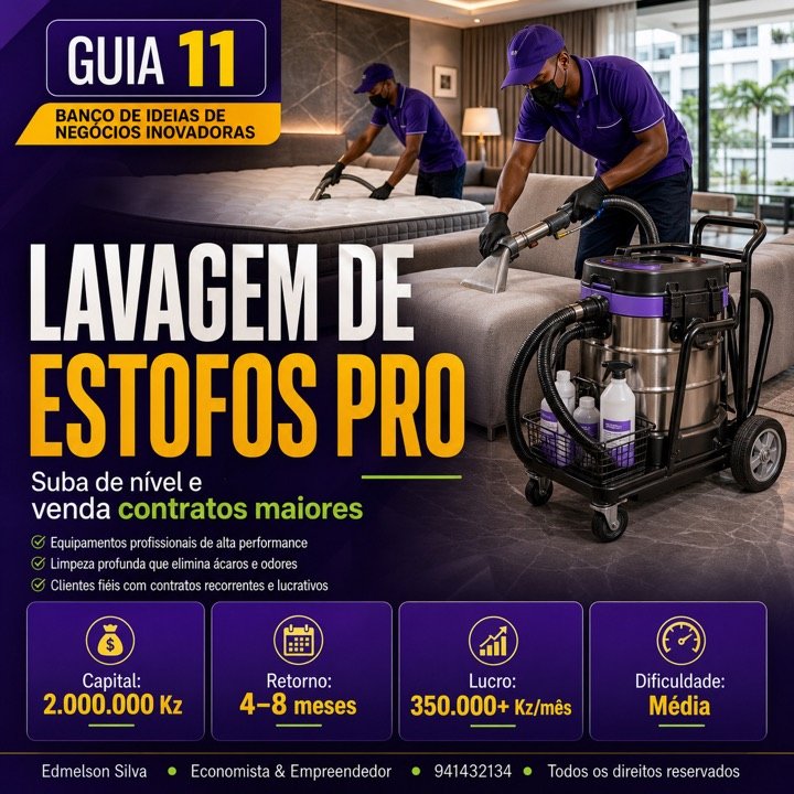 Guia 11 Lavagem de Estofos Pro