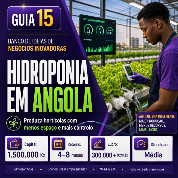 Guia 15 Hidroponia em Angola